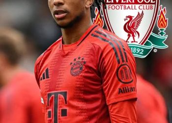 🛑 „Ich verlasse Bayern nicht“ – Münchner Star Michael Olise lehnt Mega-Angebot des FC Liverpool ab und entscheidet sich trotz früherem Interesse für Loyalität statt Geld