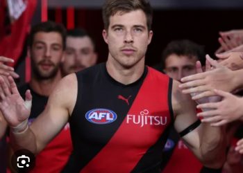 Collingwood’s Mason Cox Could Be Heading to Essendon After Bombers Coach Dean Solomon Opens Negotiations on a Record-Breaking Three-Year Deal Worth $35 Million