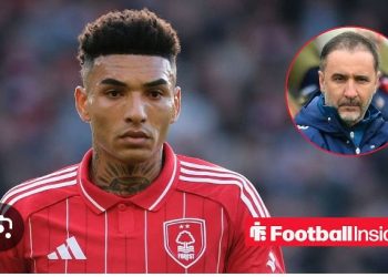 THIS IS MORE THAN HEARTBREAK: Nottingham Forest Football Head Coach Vítor Pereira , Reacts as Igor Jesus Makes Jaw-Dropping Announcement Concerning