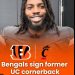 BLOCKBUSTER SIGNING: Bengals Lock Down Matthew McDoom on Massive 4-Year, $100 Million Deal BREAKING NEWS: Cincinnati Bengals