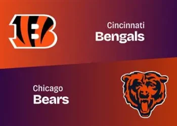Bengals vs Bear preseason match update….