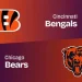 Bengals vs Bear preseason match update….